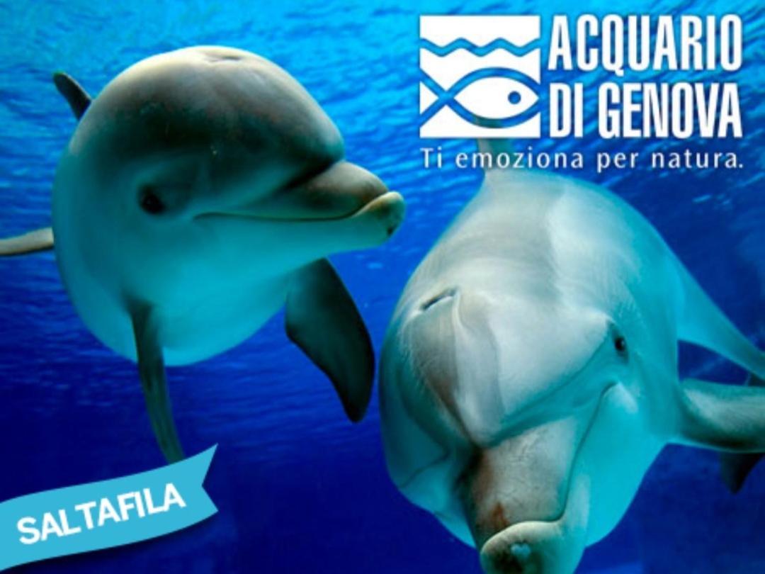 Brignole A Gasthof Genua